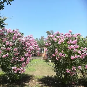  Casa vacanze Olia
